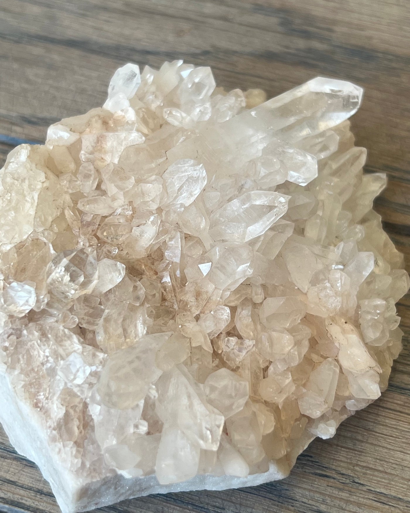 Himalayan Quartz Cluster